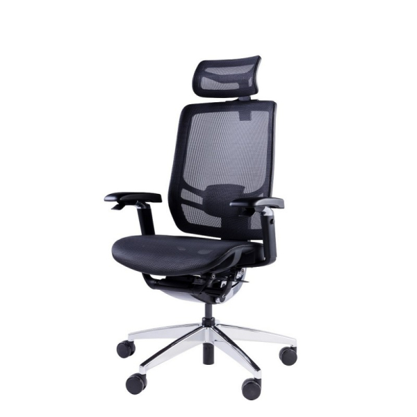 Купить Премиум эргономичное кресло GT Chair InFlex X, черный